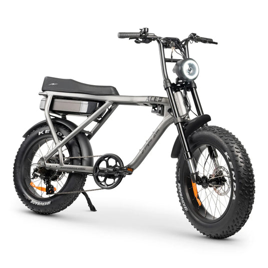 ACE-X PLUS+ ELECTRIC BIKE