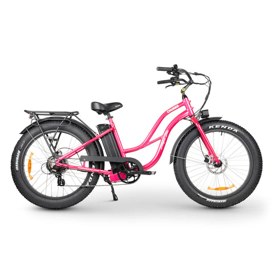 CHUBBIE-S 2 Electric Beach Cruiser Bike