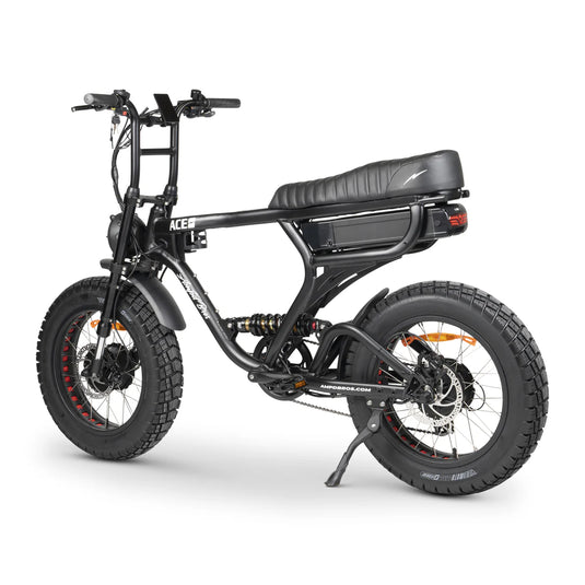 ACE-X DEMON DUAL MOTOR ELECTRIC BIKE - Series 4