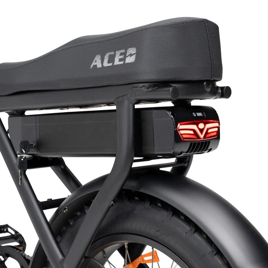 ACE-X PLUS+ ELECTRIC BIKE