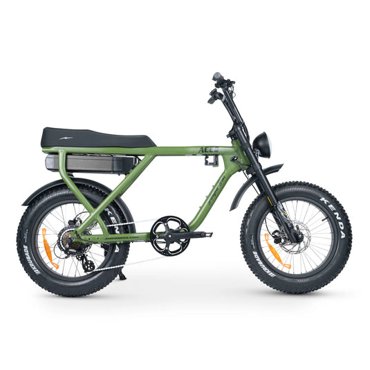 ACE-X PLUS+ ELECTRIC BIKE