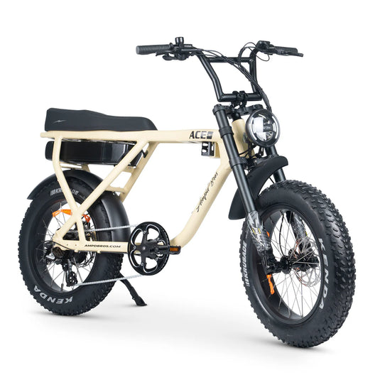 ACE-X PLUS+ ELECTRIC BIKE