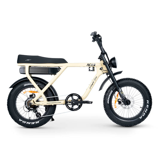 ACE-X PLUS+ ELECTRIC BIKE