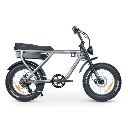 ACE-X PLUS+ ELECTRIC BIKE