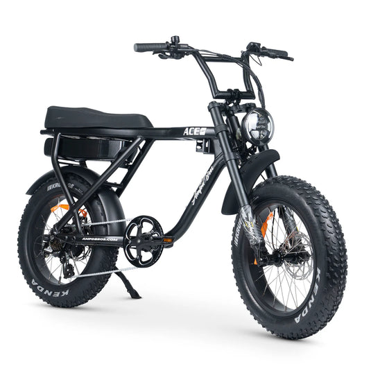 ACE-X PLUS+ ELECTRIC BIKE