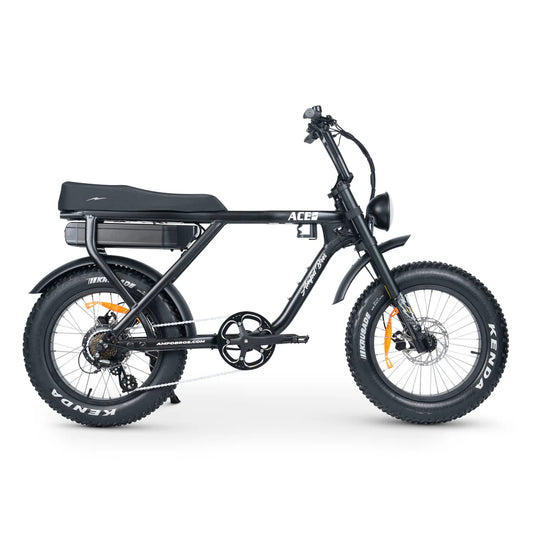 ACE-X PLUS+ ELECTRIC BIKE