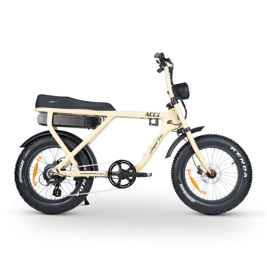 ACE-X Electric Bike