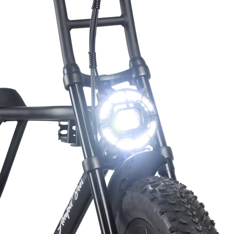 Load image into Gallery viewer, ACE-X DEMON DUAL MOTOR ELECTRIC BIKE - Series 4
