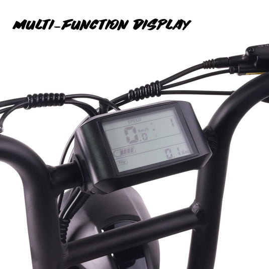 ebike multi function display